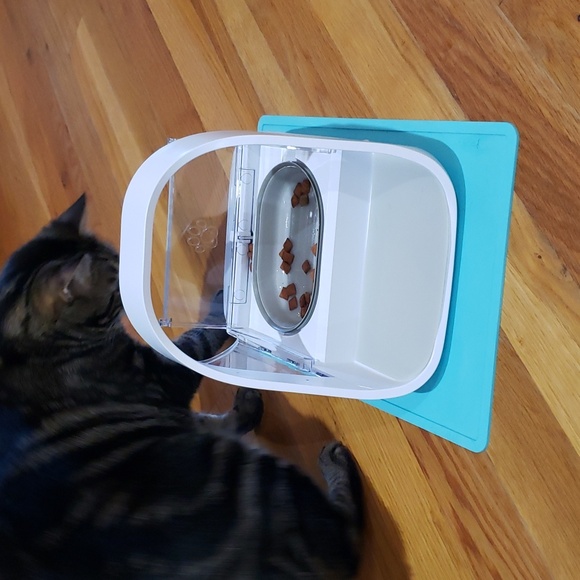 Brand New! SureFeed Microchip Small Dog & Cat Feeder Model# MPF001 - Picture 10 of 16